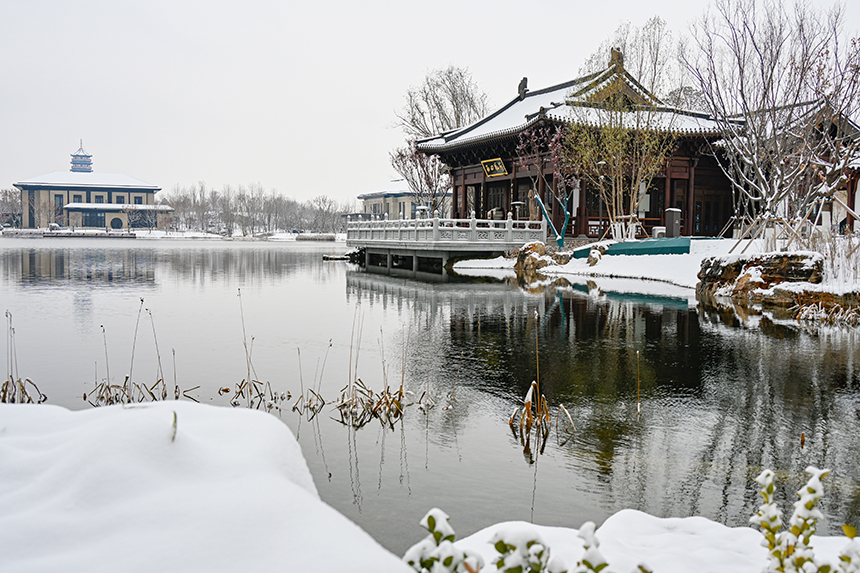 雄安新區(qū)容東片區(qū)園林雪景。胡忠攝